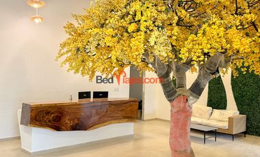 Arriendo por dias – Apartasuite Tipo Loft en El Rodadero