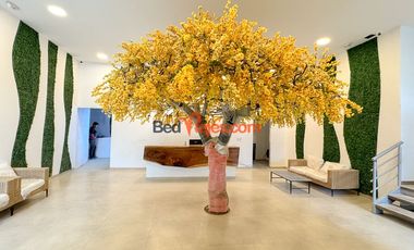 Arriendo por dias – Apartasuite Tipo Loft en El Rodadero