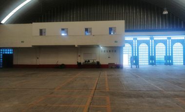 BODEGA EN RENTA SALIDA SALAMANCA LOS ANGELES, 1600 M2