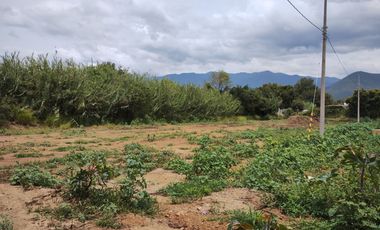 Terrenos en venta en Tlalixtac de Cabrera