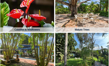 Los Arroyos Verde, 3.3 Hectare Comunidad cerrada en Bucerías