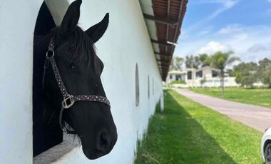 HERMOSO TERRENO PREMIUM EN CAMPESTRE SAN JOAQUÍN, AGUASCALIENTES