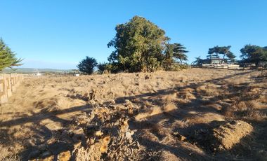 Incomparable terreno a  la venta, el sueño de surfistas