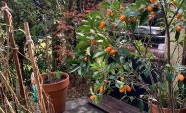 Casa en complejo cerrado Hurlingham centro