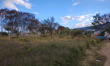 Terreno en Venta en el Tule