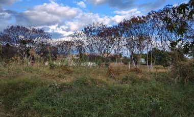 Terreno en Venta en el Tule