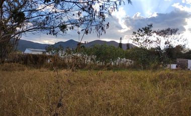 Terreno en Venta en el Tule