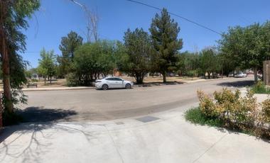 Renta Departamento Monumental