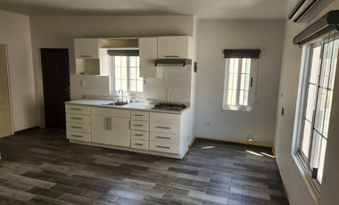 Renta Departamento Monumental