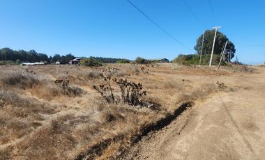 Uno de los últimos terrenos grandes en Catrianca, perfecto para desarrollo inmobiliario de renta de cabañas.