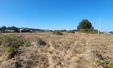 Uno de los últimos terrenos grandes en Catrianca, perfecto para desarrollo inmobiliario de renta de cabañas.