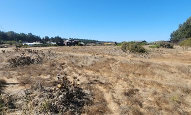 Uno de los últimos terrenos grandes en Catrianca, perfecto para desarrollo inmobiliario de renta de cabañas.