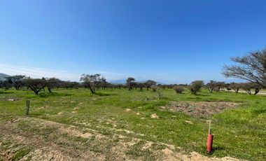 Nuevas parcelas en Limache