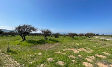 Nuevas parcelas en Limache