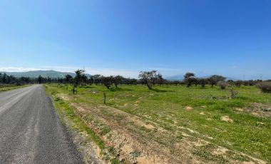 Nuevas parcelas en Limache
