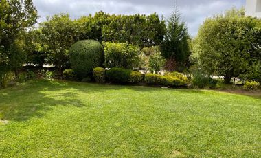 Arriendo Departamento Por Dia En Marbella