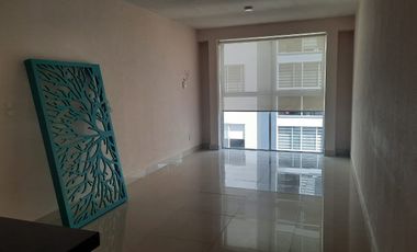 Renta departamento en San Pedro de los Pinos