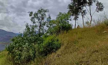 TERRENO EN VENTA LUCRE