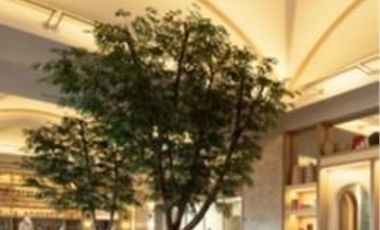 Casa de Lujo en Venta en Playa del Carmen con Campo de Golf Exclusivo ⛳🌴