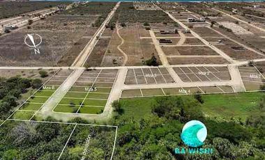 “Ba’wishi” Lotificación, Terrenos En Playa Palmarito Puerto Escondido Oaxaca.