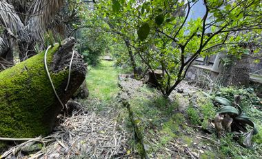 Bodega  taller y oficinas en renta