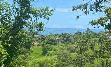 TERRENO DE VENTA EN OLON - PARTE ALTA