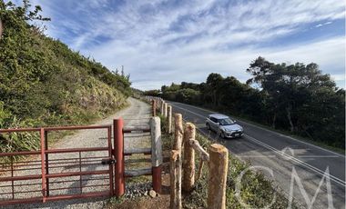 Parcela en Reserva Calfuco, camino Curiñanco, Valdivia