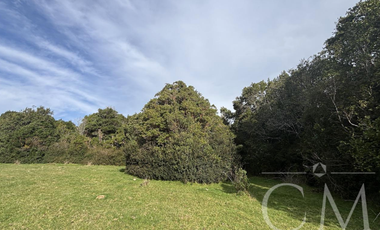 Parcela en Reserva Calfuco, camino Curiñanco, Valdivia