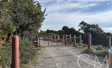 Parcela en Reserva Calfuco, camino Curiñanco, Valdivia
