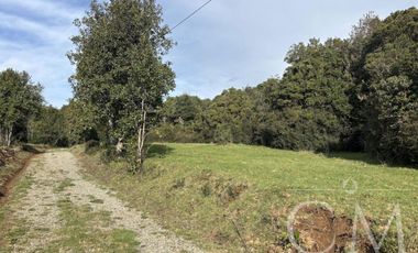 Parcela en Reserva Calfuco, camino Curiñanco, Valdivia