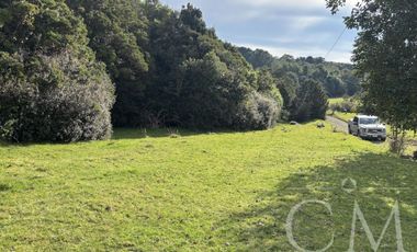 Parcela en Reserva Calfuco, camino Curiñanco, Valdivia