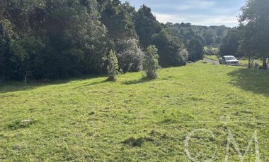 Parcela en Reserva Calfuco, camino Curiñanco, Valdivia
