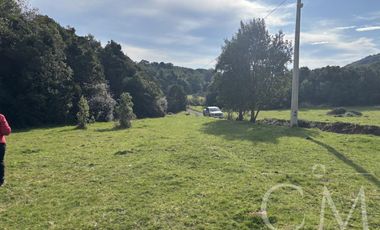 Parcela en Reserva Calfuco, camino Curiñanco, Valdivia