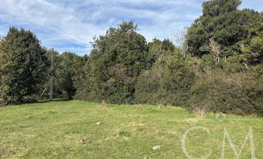 Parcela en Reserva Calfuco, camino Curiñanco, Valdivia