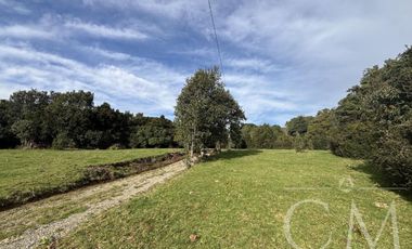 Parcela en Reserva Calfuco, camino Curiñanco, Valdivia