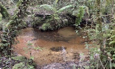 Parcela en Reserva Calfuco, camino Curiñanco, Valdivia
