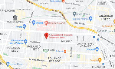 DEPARTAMENTO EN REMATE EN POLANCO A. MUSSET 311