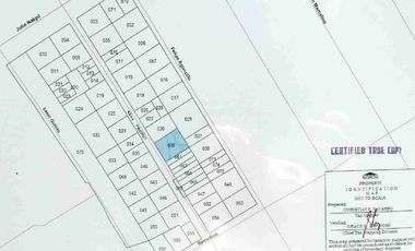 Lot for Sale in Malate Manila