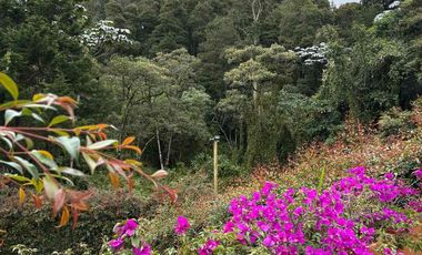 casa finca campestre en vía las Palmas aeropuerto Ríonegro JMC sector sajonia - cerca a Llanogrande