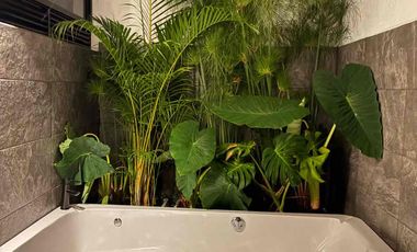 casa finca campestre en vía las Palmas aeropuerto Ríonegro JMC sector sajonia - cerca a Llanogrande