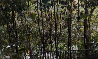 Venta de casa finca campestre tipo loft sajonia - en aeropuerto Ríonegro Medellin - vía las Palmas