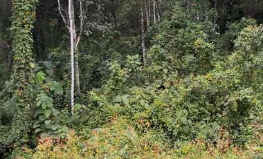 Venta de casa finca campestre tipo loft sajonia - en aeropuerto Ríonegro Medellin - vía las Palmas