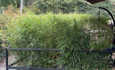 Venta de casa finca campestre tipo loft sajonia - en aeropuerto Ríonegro Medellin - vía las Palmas