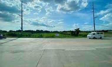Commercial Lot 34,240 sqm Clean title for Sale in Cabanatuan Nueva Ecija