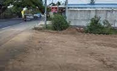 Commercial Lot 34,240 sqm Clean title for Sale in Cabanatuan Nueva Ecija