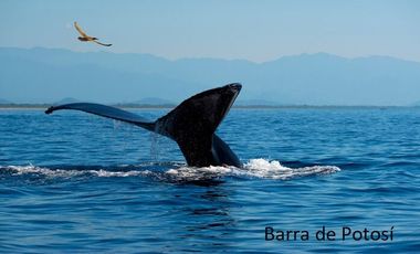 CASA A POCOS METROS DE PLAYA. BARRA DE POTOSÍ, GUERRERO.