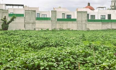 Venta de Terreno en San Francisco Chiautla,Edo.Méx. $2,800/m2