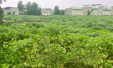 Venta de Terreno en San Francisco Chiautla,Edo.Méx. $2,800/m2