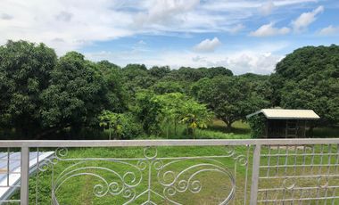 SAN LEONARDO, NUEVA ECIJA