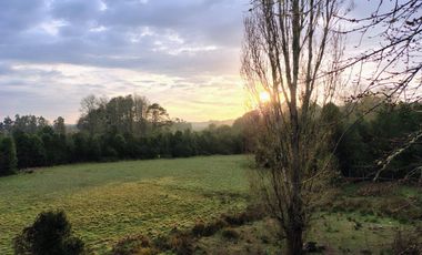 Campo de 9,8 hectáreas en La Traca, Máfil – Con agua, construcciones y orilla de estero